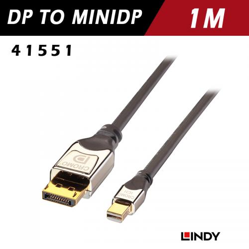 LINDY林帝 DisplayPort 1.3版 to MiniDisplayPort 連接線 1m