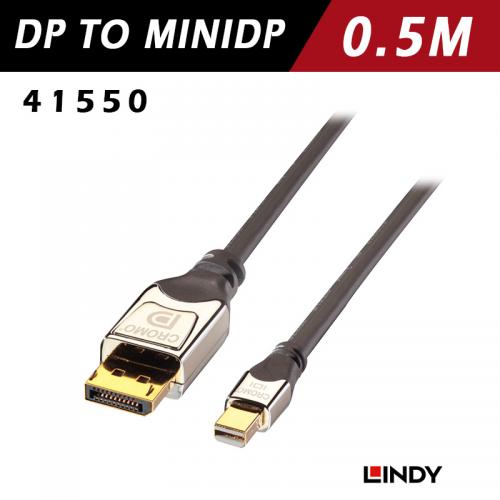 LINDY林帝 DisplayPort 1.3 to MiniDisplayPort 連接線0.5m